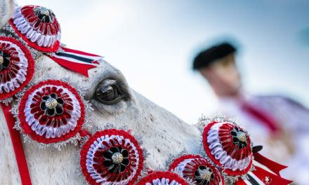 Sartiglia 2019 – Prima tappa